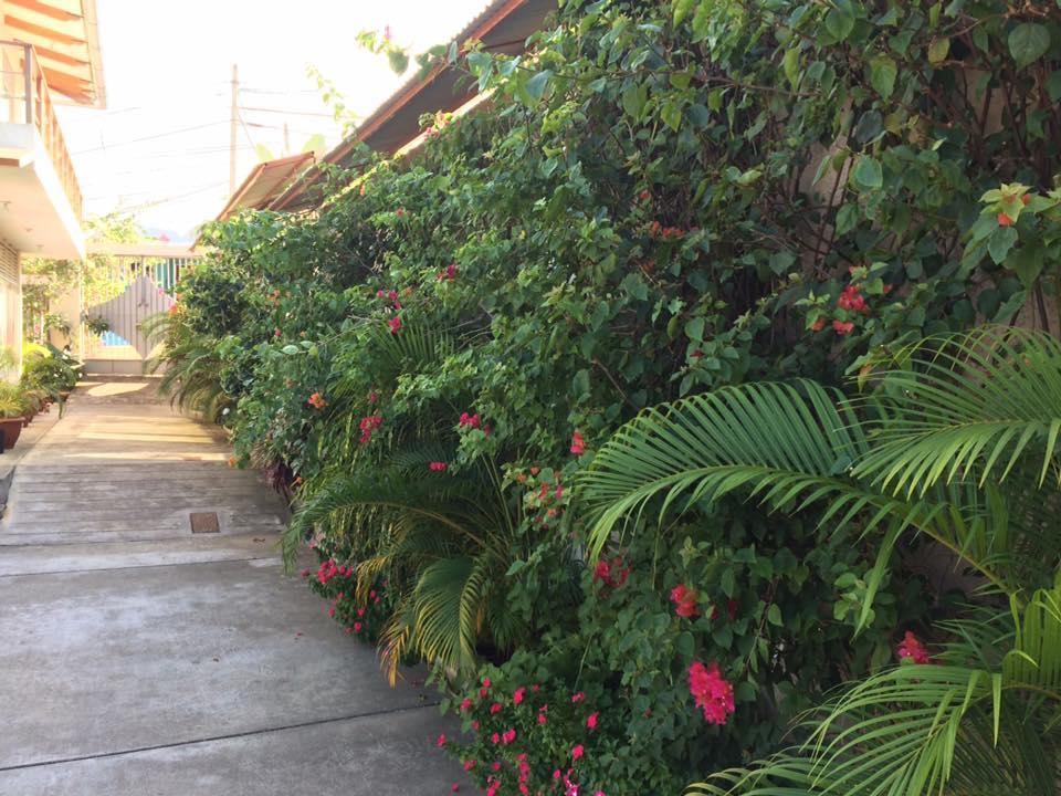 La Casa Del Italiano Bed & Breakfast ตาราโปโต ภายนอก รูปภาพ
